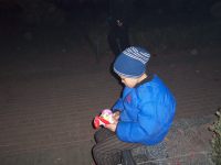 100_9397 100_9397