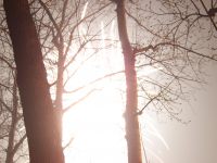 100_9420 100_9420
