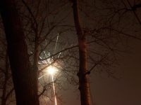 100_9421 100_9421