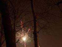 100_9422 100_9422