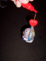 100_9434 100_9434