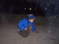 100_9442 100_9442