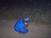 100_9445 100_9445